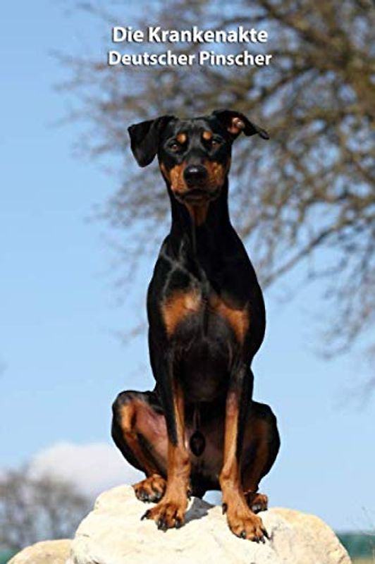 Die Krankenakte Deutscher Pinscher: Dokumentiere mit einer Vorlage schnell und einfach die Krankheiten / Verletzungen Deines Hundes (Deutscher ... BARF Planer und Welpentagebuch, Band 3)