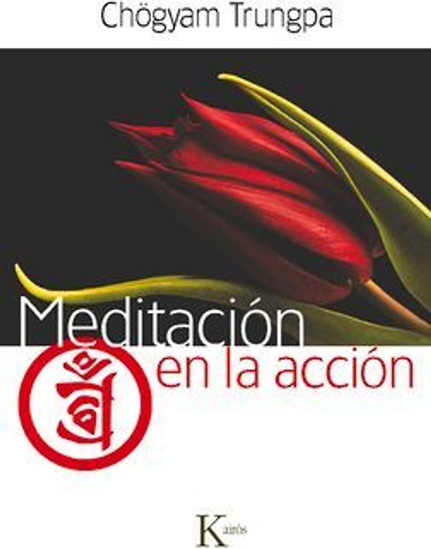 Meditación En La Acción