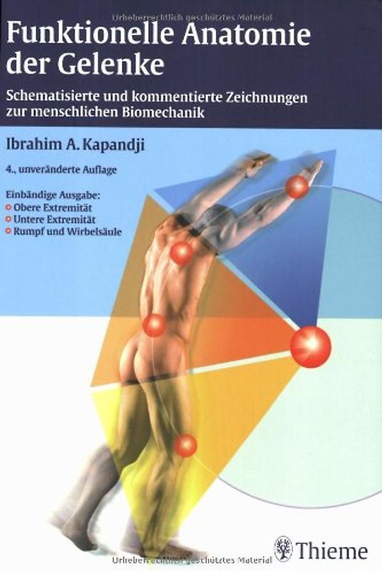 Funktionelle Anatomie der Gelenke