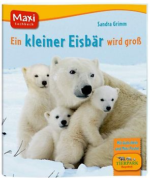 Ein kleiner Eisbär wird groß