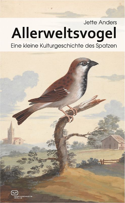 Allerweltsvogel