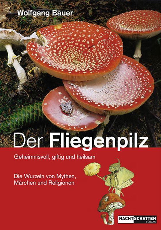 Der Fliegenpilz