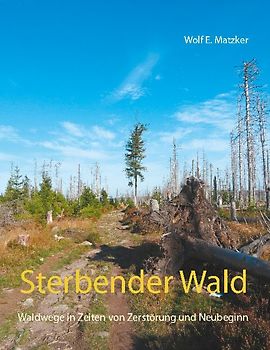 Sterbender Wald