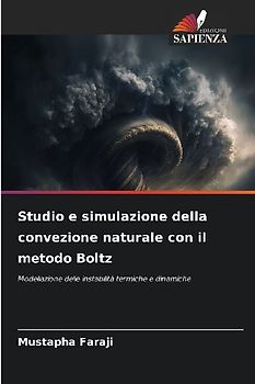 Studio e simulazione della convezione naturale con il metodo Boltz