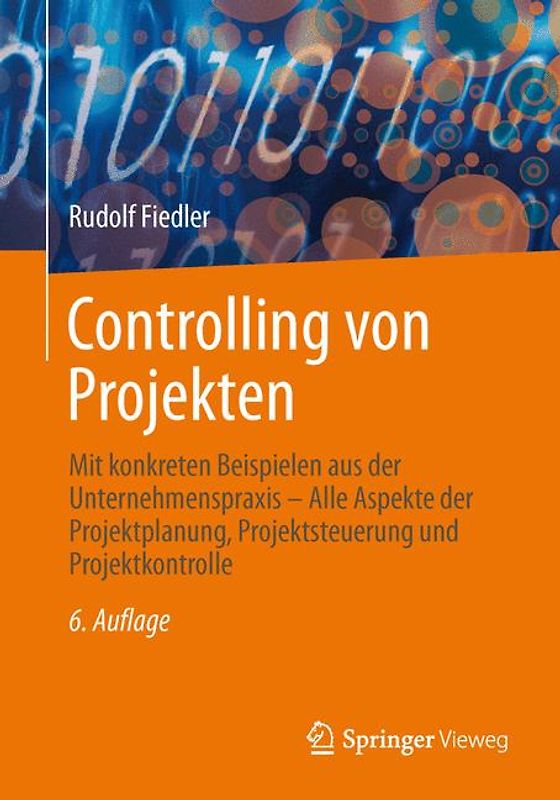 Controlling von Projekten