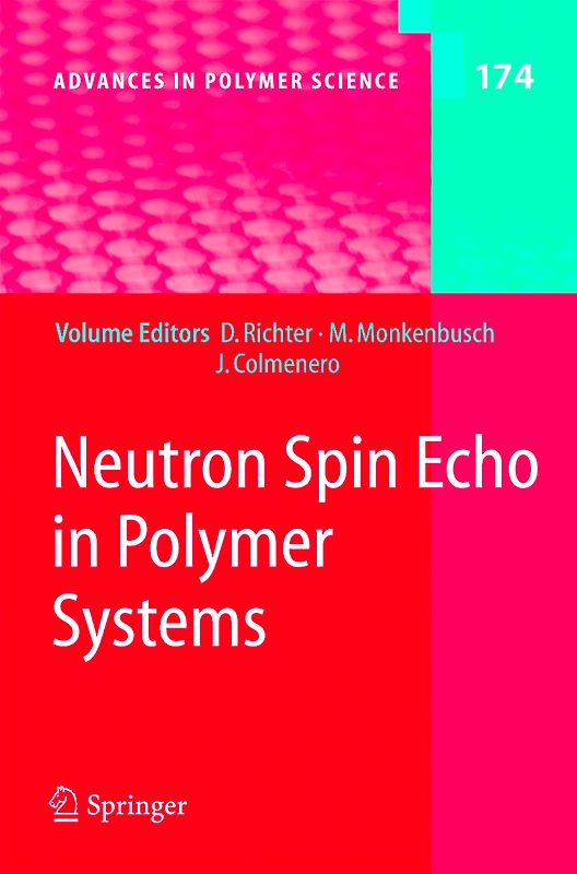 Neutron Spin Echo in Polymer Systems