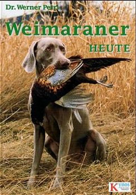 Weimaraner heute