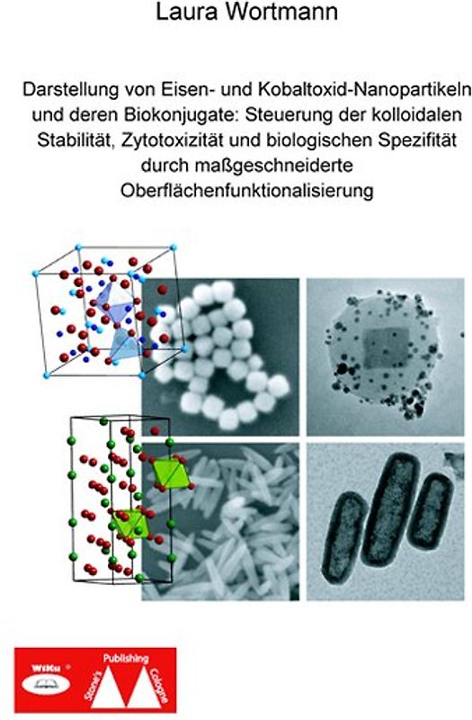 Darstellung von Eisen- und Kobaltoxid-Nanopartikeln und deren Biokonjugate: Steuerung der kolloidalen Stabilität, Zytotoxizität und biologischen Spezifität durch maßgeschneiderte Oberflächenfunktionalisierung