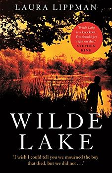 Wilde Lake: 'A knockout' Stephen King