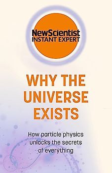 Why the Universe Exists