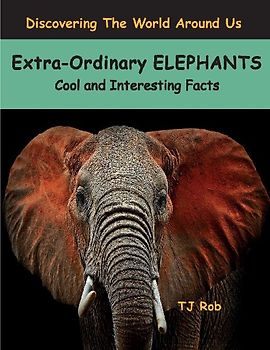 Extra-Ordinary Elephants