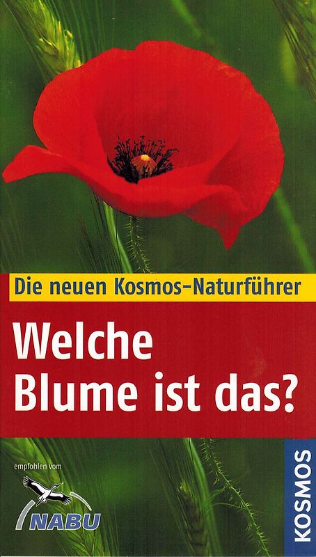 Welche Blume ist das?