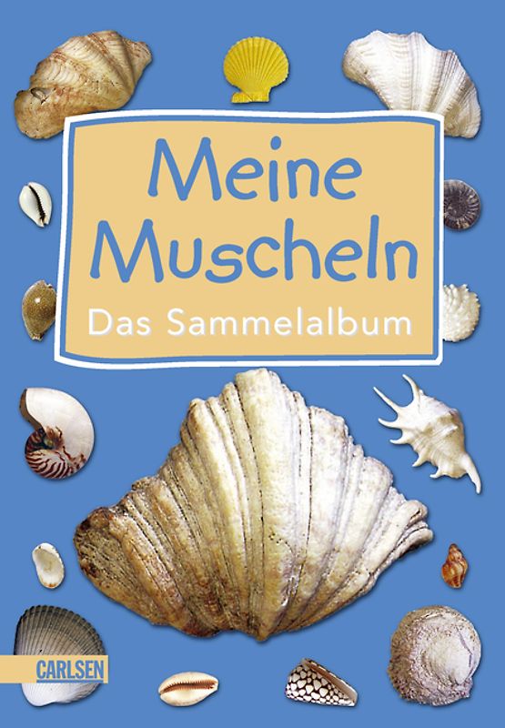 Meine Muscheln