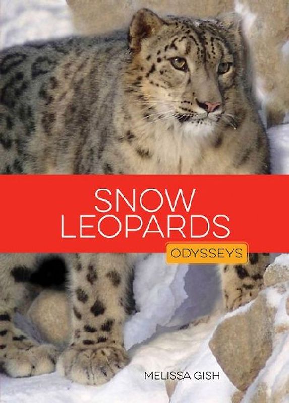 Snow Leopards