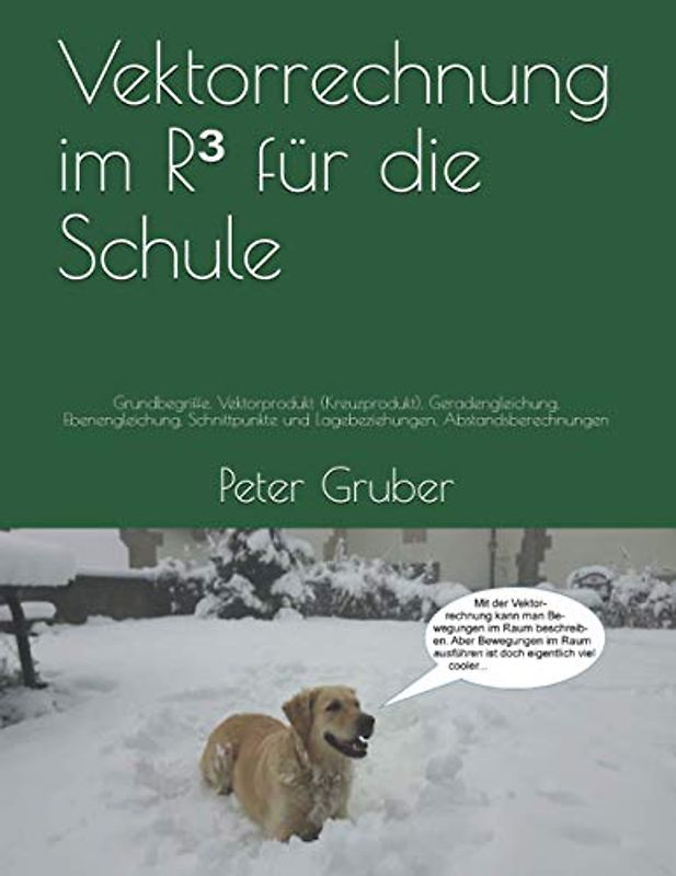 Vektorrechnung im R³ für die Schule: Grundbegriffe, Vektorprodukt (Kreuzprodukt), Geradengleichung, Ebenengleichung, Schnittpunkte und Lagebeziehungen, Abstandsberechnungen