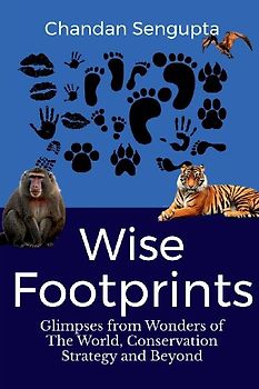 Wise Footprints