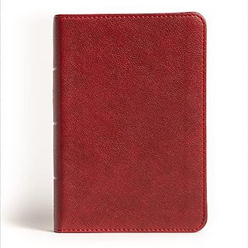 NASB Large Print Compact Reference Bible, Burgundy Leathertouch