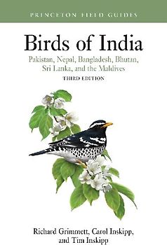 Birds of India
