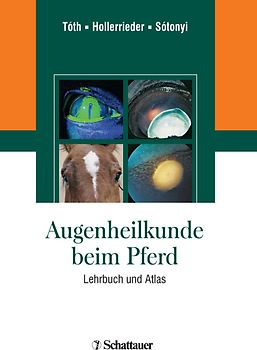 Augenheilkunde beim Pferd