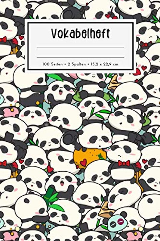Vokabelheft: Zweispaltig, 100 Seiten, DIN A5