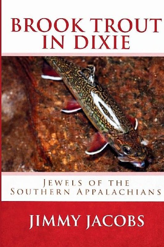 Brook Trout in Dixie