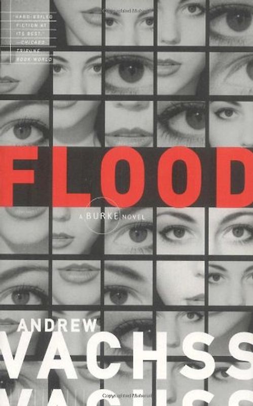 Flood (Vintage Crime/Black Lizard)
