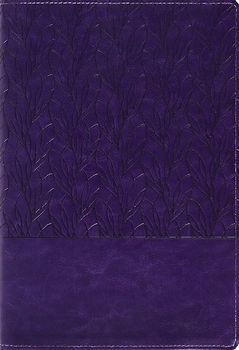 Amplified Holy Bible, Large Print, Leathersoft, Purple