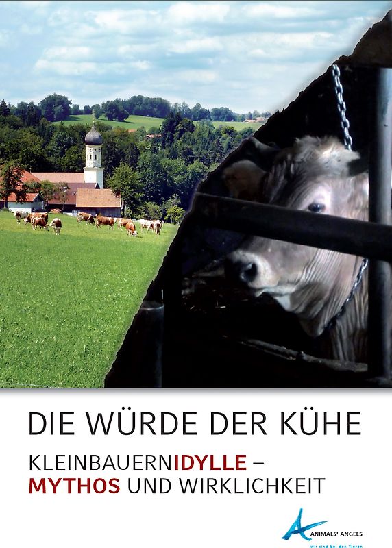 Die Würde der Kühe