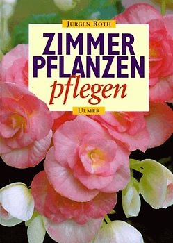 Zimmerpflanzen pflegen