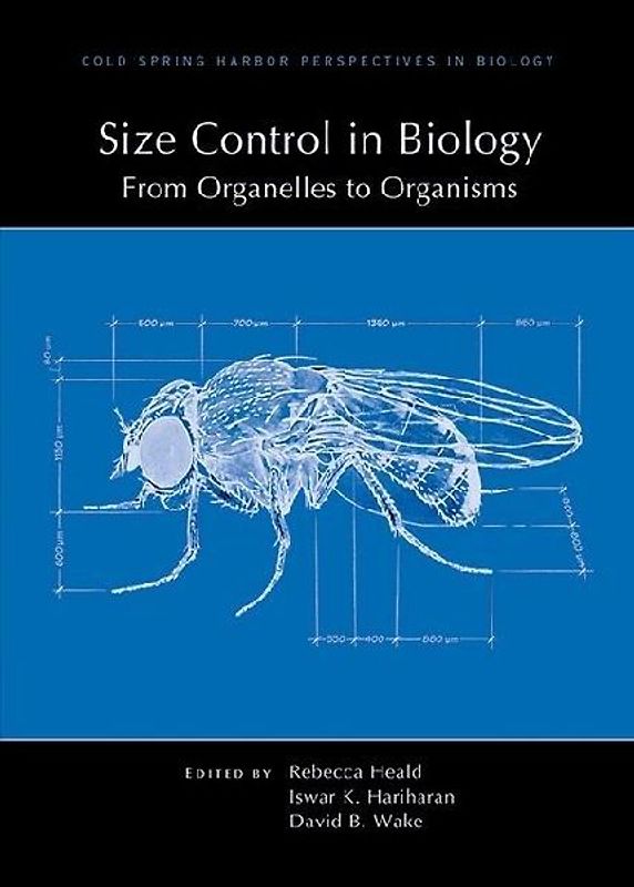 Size Control in Biology: From Organelles to Organisms