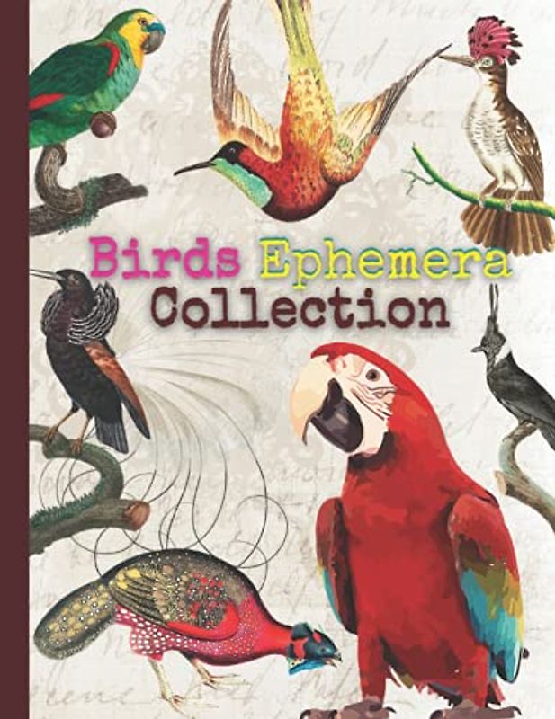 Birds Ephemera Collection: One-Sided Decorative Paper for Junk Journaling, Scrapbooking, Decoupage, Collages, Card Making & Mixed Media.100+ High ... (Extraordinary Things To Cut Out and Collage)