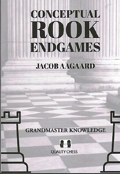 Conceptual Rook Endgames