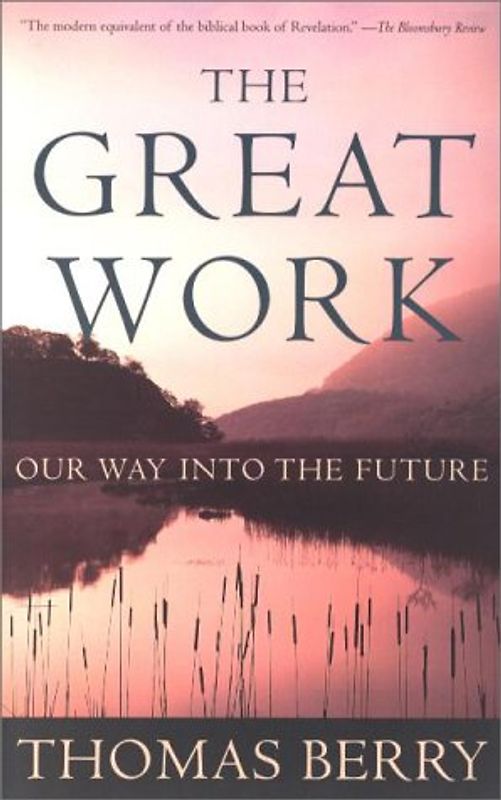 The Great Work: Our Way into the Future - Thomas Berry
