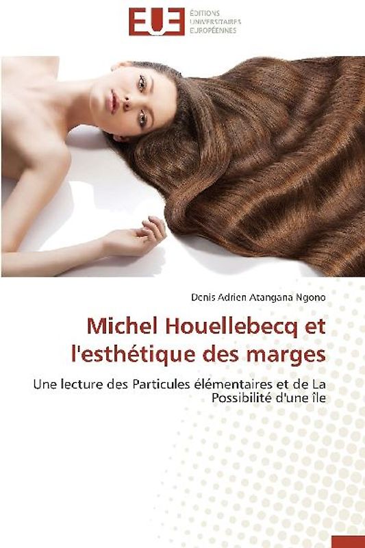 Michel Houellebecq et l'esthétique des marges