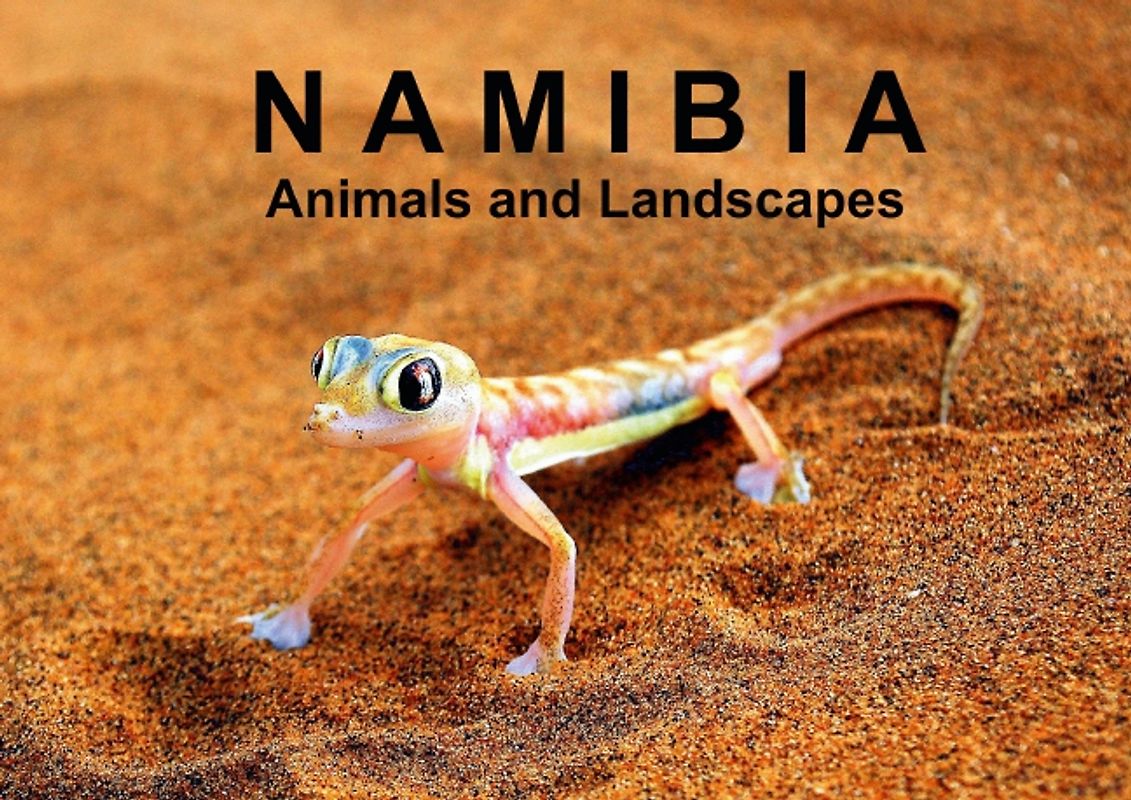 Namibia - Animals and Landscapes (Poster Book DIN A3 Landscape)