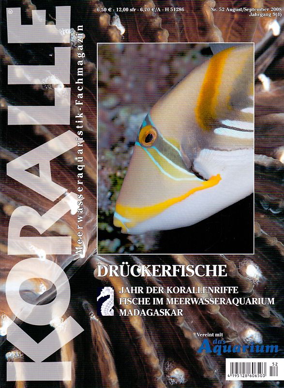 Koralle 52/2008: Drückerfische