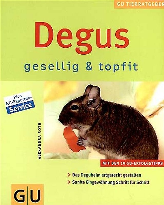 Degus gesellig & topfit