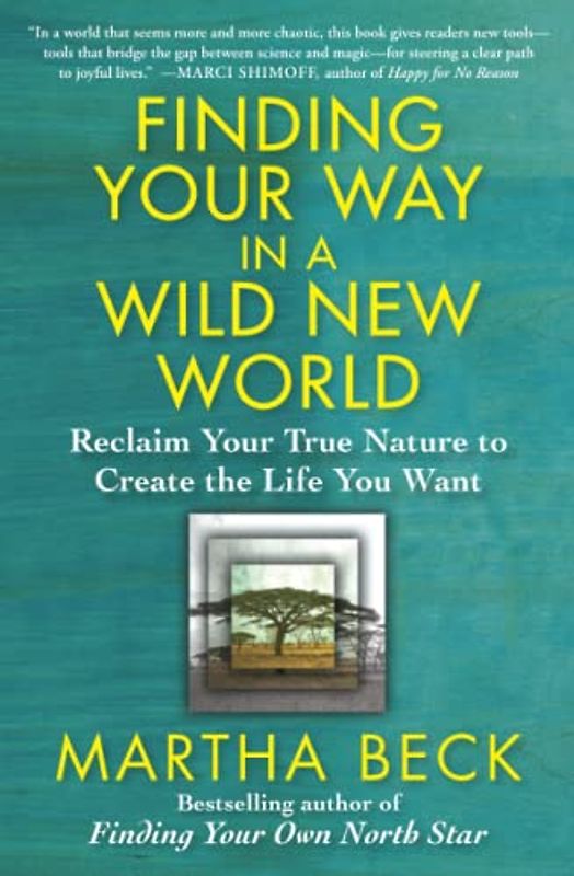 Finding Your Way in a Wild New World