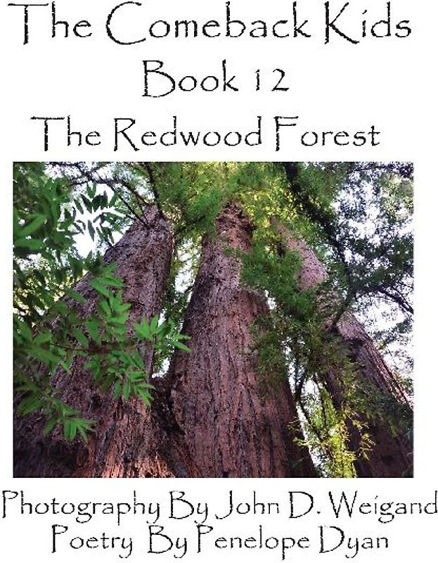 The Comeback Kids, Book 12, the Redwood Forest