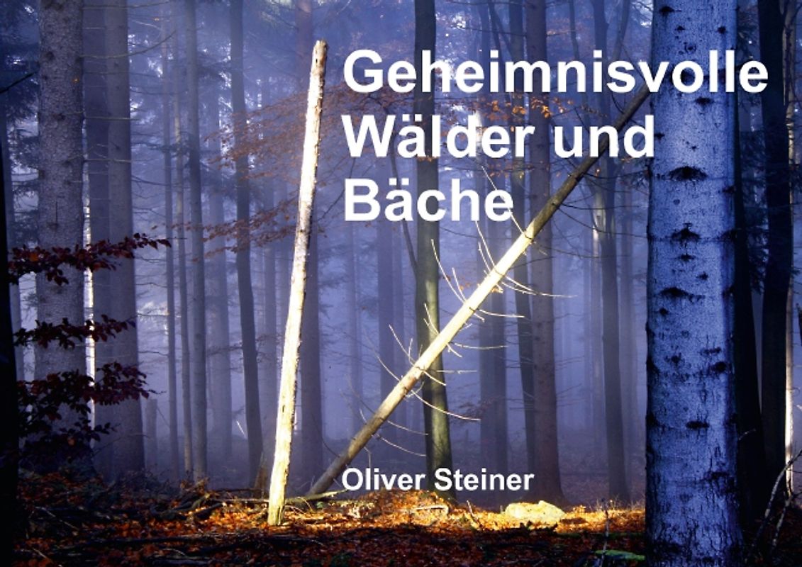 Geheimnisvolle Wälder und Bäche (Posterbuch DIN A3 quer)