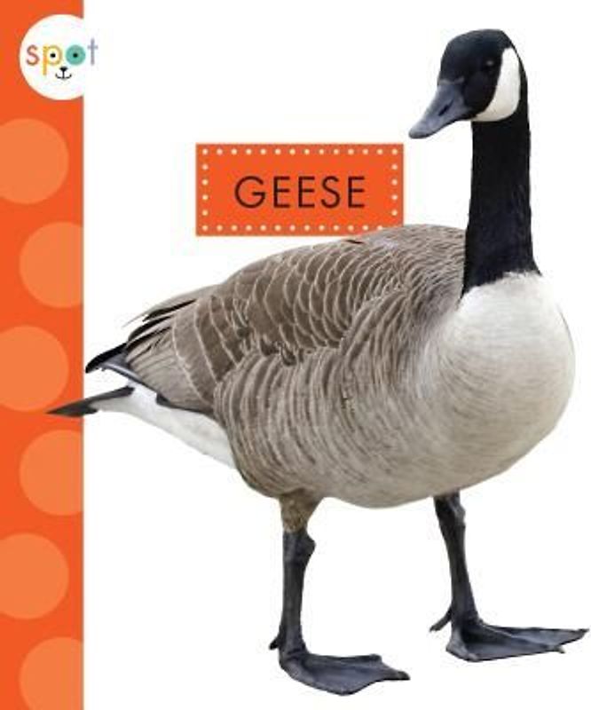 Geese