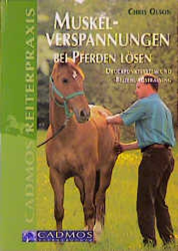 Muskelverspannungen bei Pferden lösen