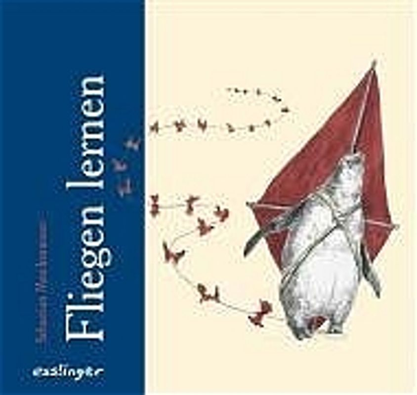 Fliegen lernen