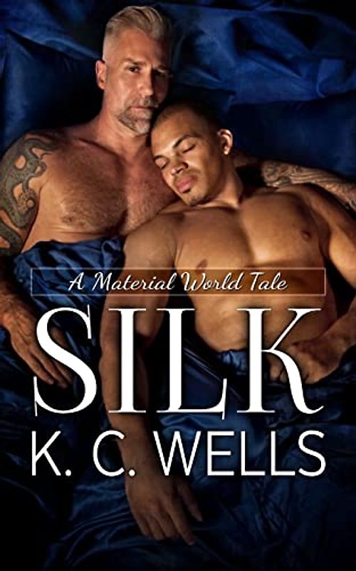 Silk (A Material World, Band 3)