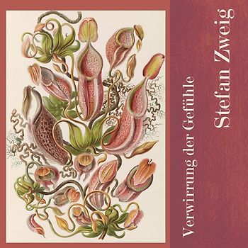 Verwirrung der Gefühle