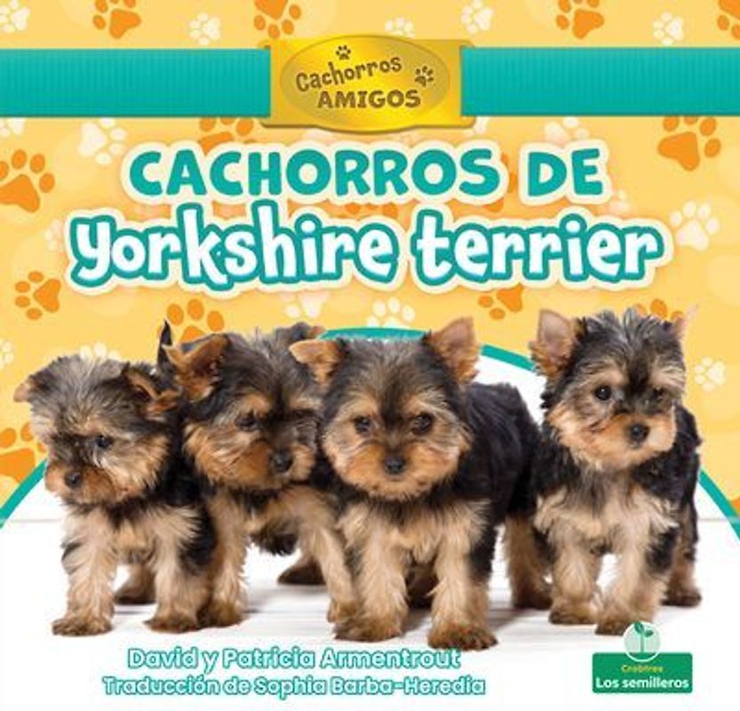 Cachorros de Yorkshire Terrier (Yorkshire Terrier Puppies)