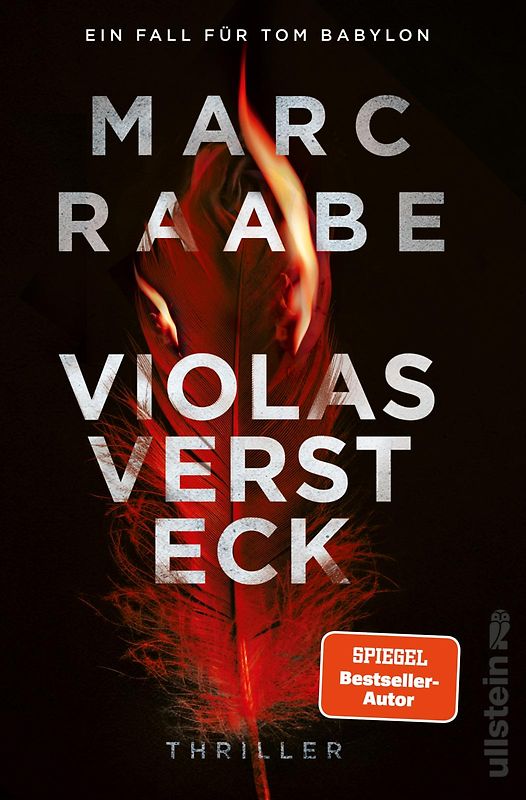 Violas Versteck (Tom-Babylon-Serie 4)