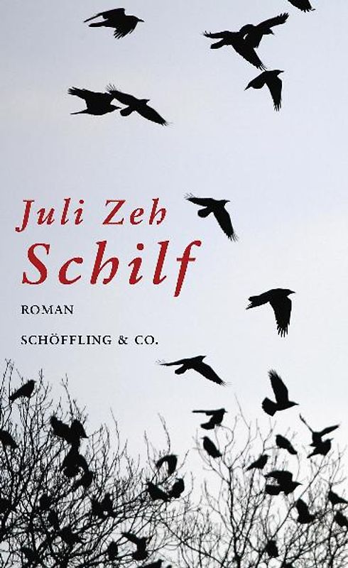 Schilf (Gebundene Ausgabe)