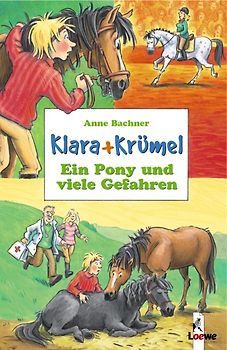 Ein Pony und viele Gefahren (Band 4)