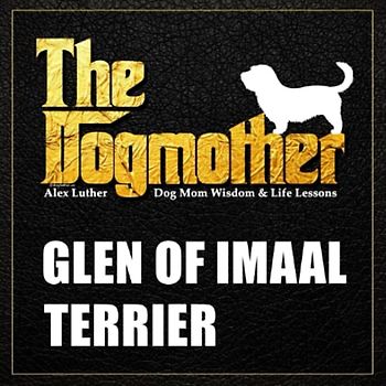 The Dogmother: Glen of Imaal Terrier: (Dog Mom Wisdom & Life Lessons)